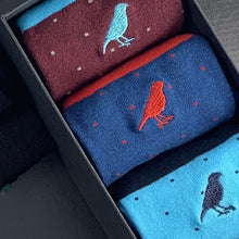 Load image into Gallery viewer, Altona Dots Blue Atoll