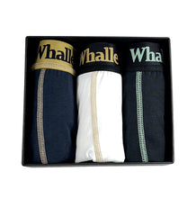 Load image into Gallery viewer, mens underwear, mens boxer briefs, ultra-soft underwear, underwear