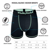 Load image into Gallery viewer, Everyday Vibe Black-Mint Boxer Brief