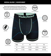Load image into Gallery viewer, mens underwear, mens boxer briefs, ultra-soft underwear, underwear