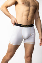 Load image into Gallery viewer, mens underwear, mens boxer briefs, ultra-soft underwear, underwear
