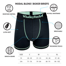 Load image into Gallery viewer, Everyday Vibe Black &amp; Mint Boxer Brief
