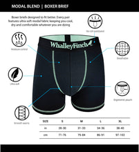 Load image into Gallery viewer, Everyday Vibe Boxer Briefs 3-Pack
